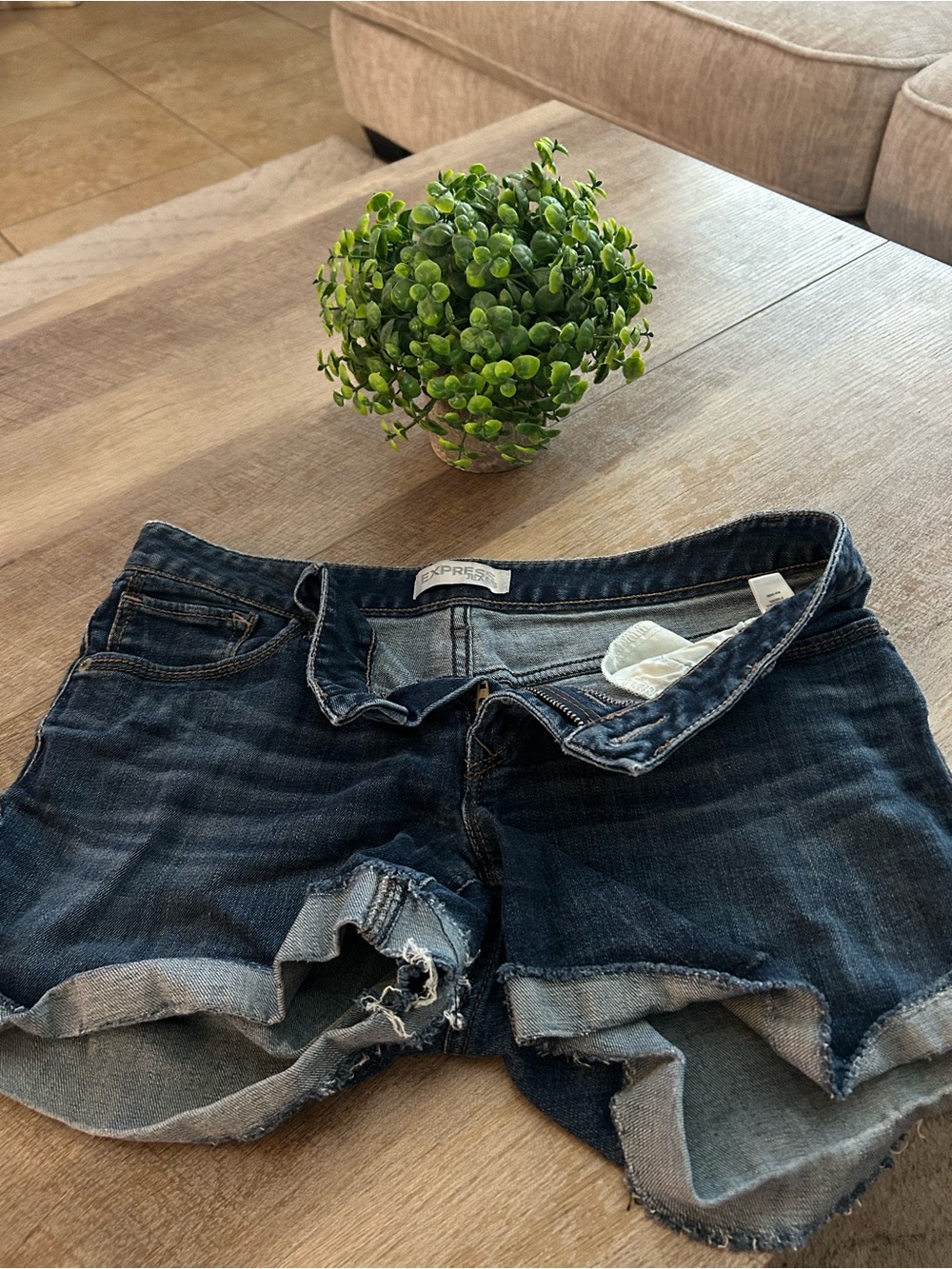 Express Dark Blue Denim Jean Shorts